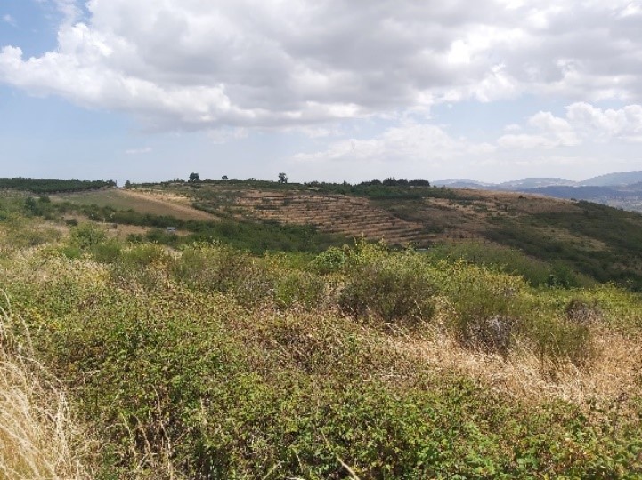 Paysage de la vallée du Gier à Chagnon