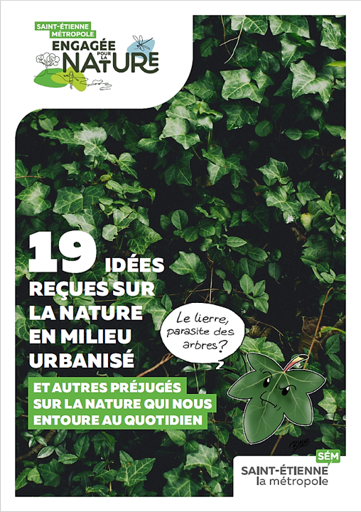 Couverture 19 Idées reçues