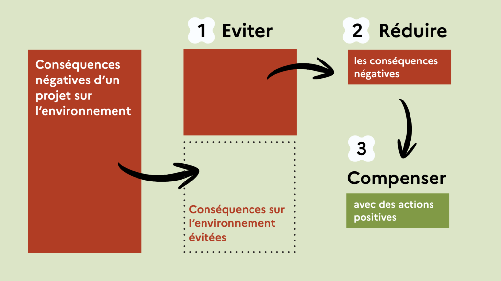 Schéma de la séquence ERC