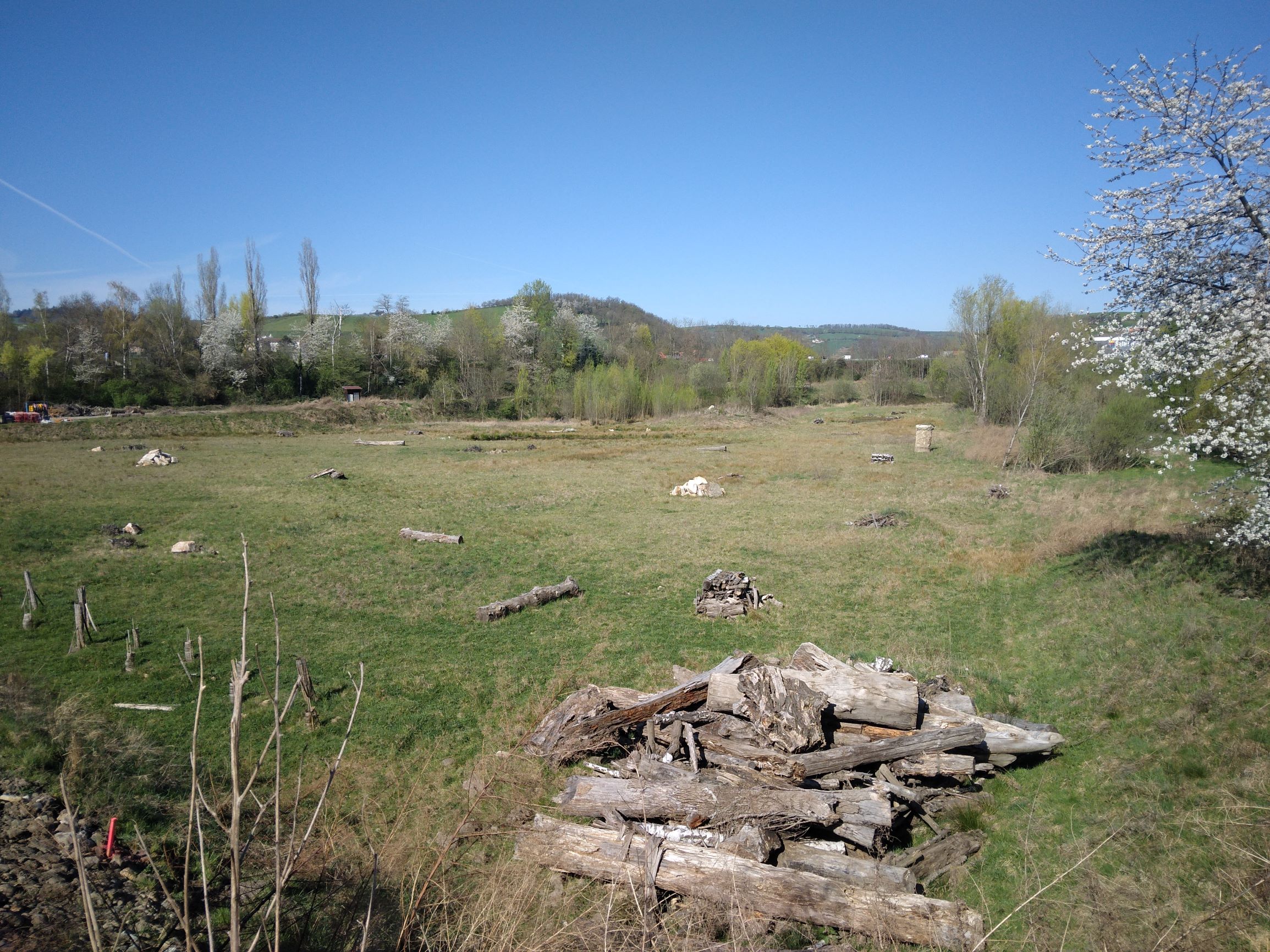 Bois mort et future haie - site de compensation Villars