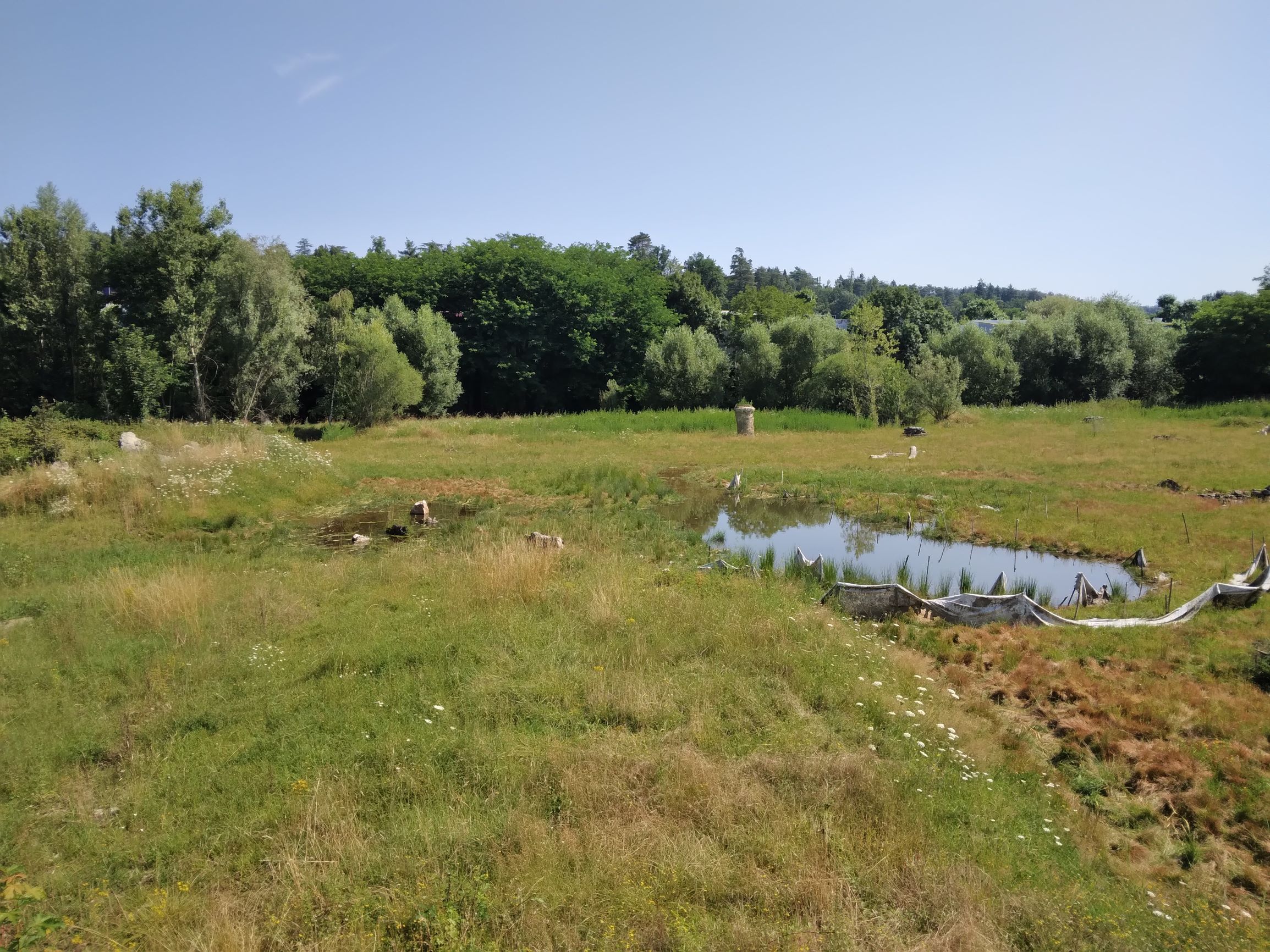 Mare et prairie - site de compensation Villars
