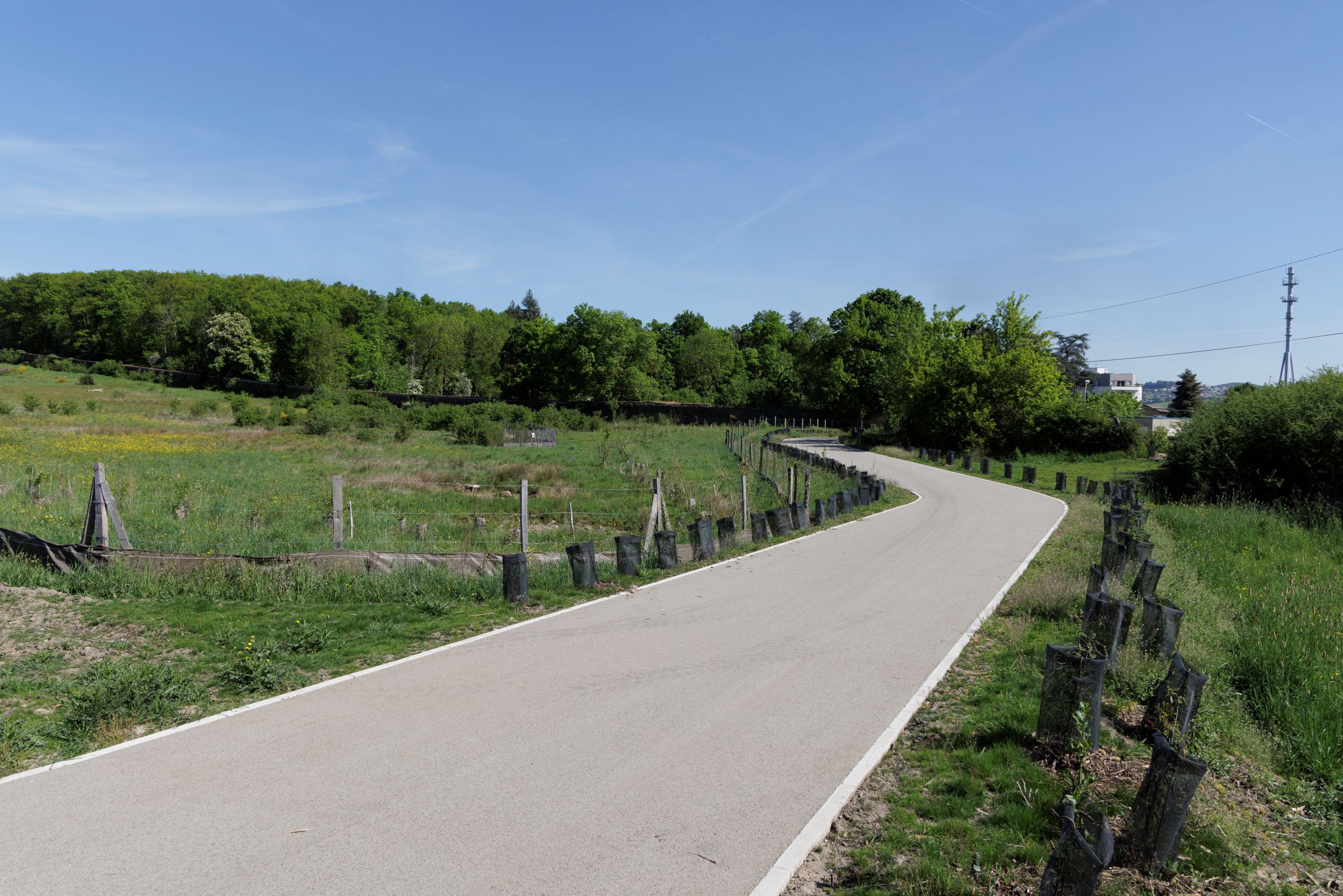 Plantations et piste cyclable aménagée - site ZA Les Roches