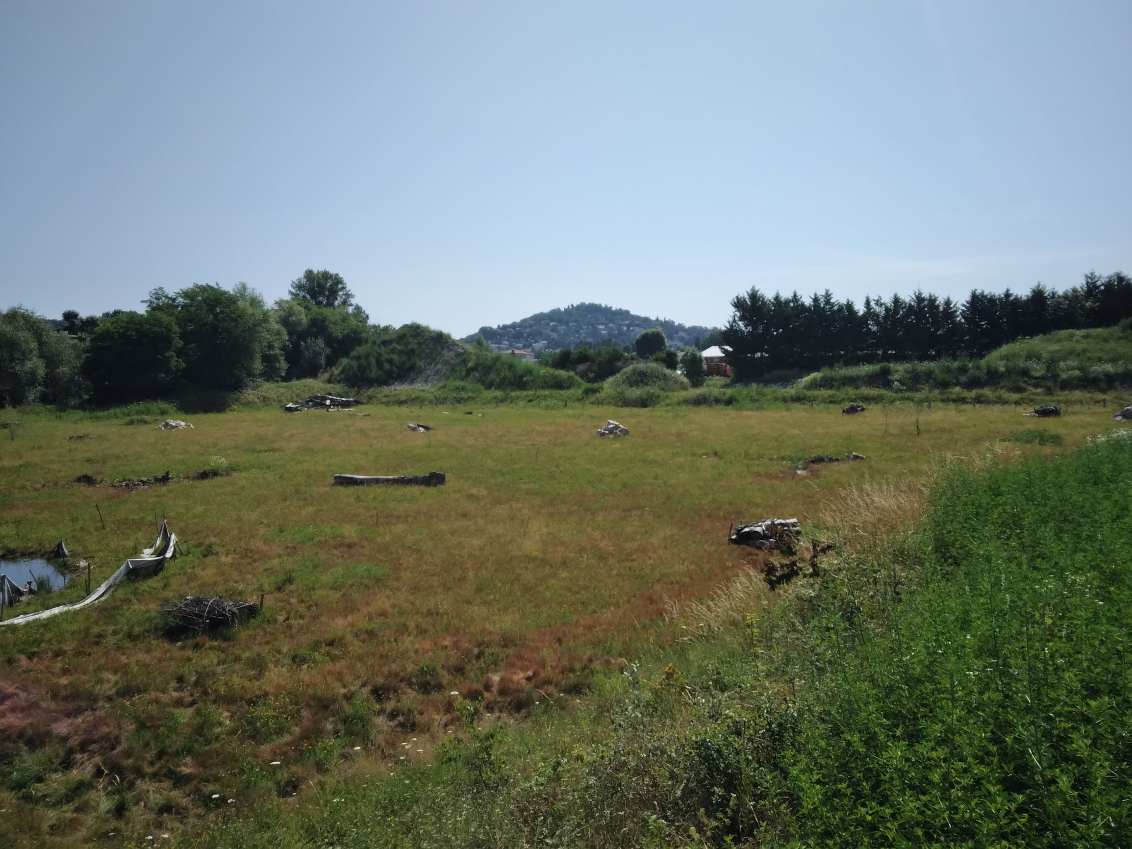 Prairie et aménagements - site de compensation Villars