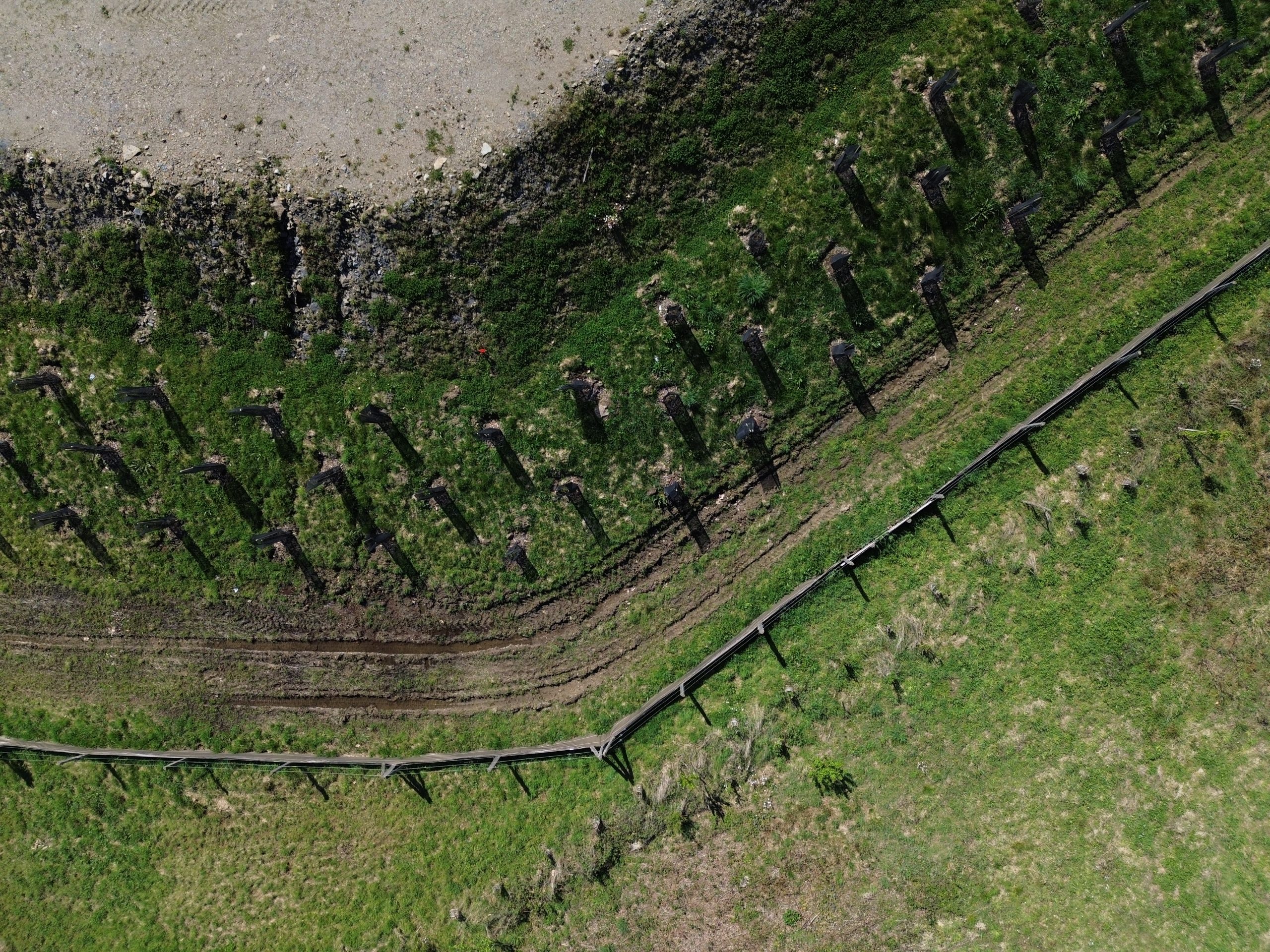 Vue aérienne des haies plantées - site ZA Les Roches